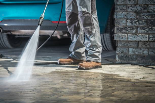 Best Animal Enclosure Cleaning  in Wildwood, MO