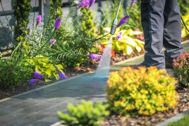 Best Fence Cleaning  in Wildwood, MO